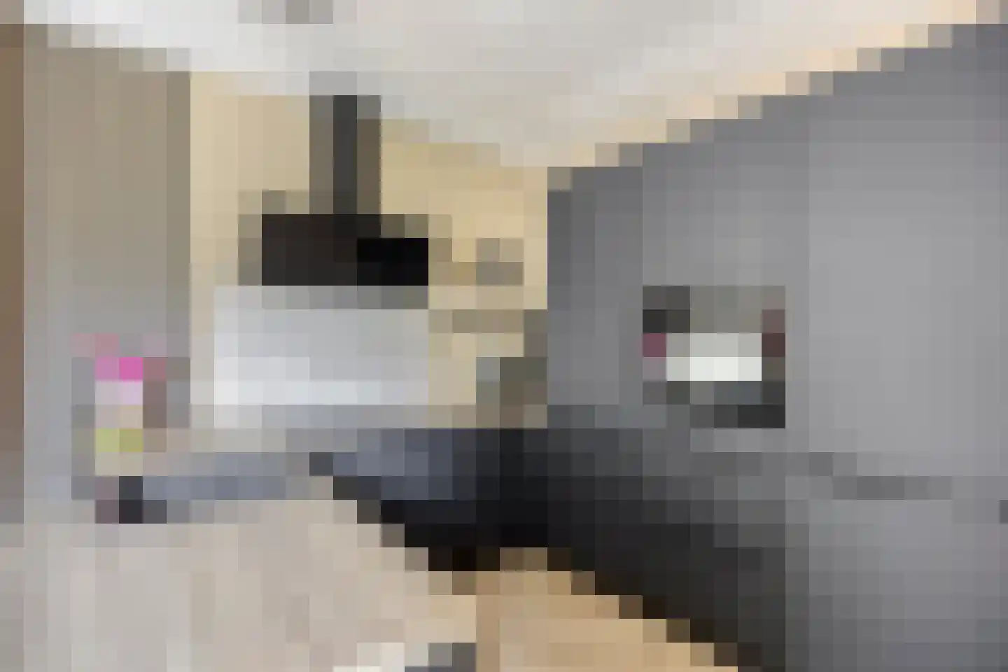 Zwaluwplein 13 Schagen thumbnail 8