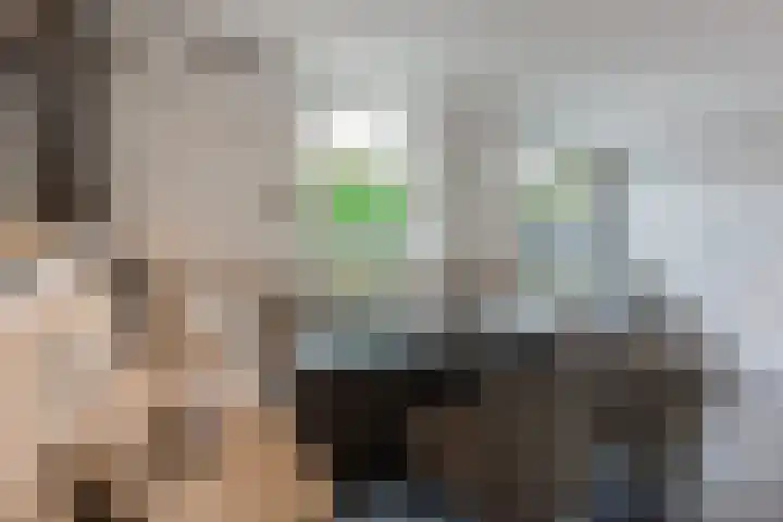 Zwaluwplein 14 Bergschenhoek thumbnail 11