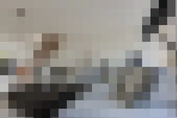 Zwaluwplein 14 Bergschenhoek thumbnail 13