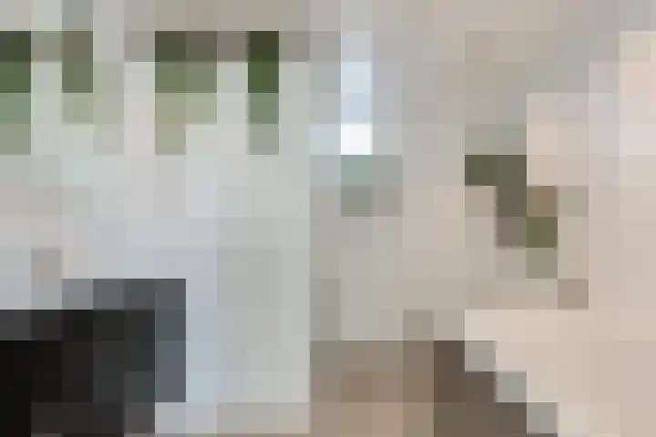 Zwaluwplein 14 Bergschenhoek thumbnail 23