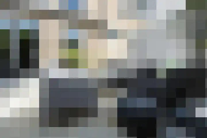 Zwaluwplein 14 Bergschenhoek thumbnail 27