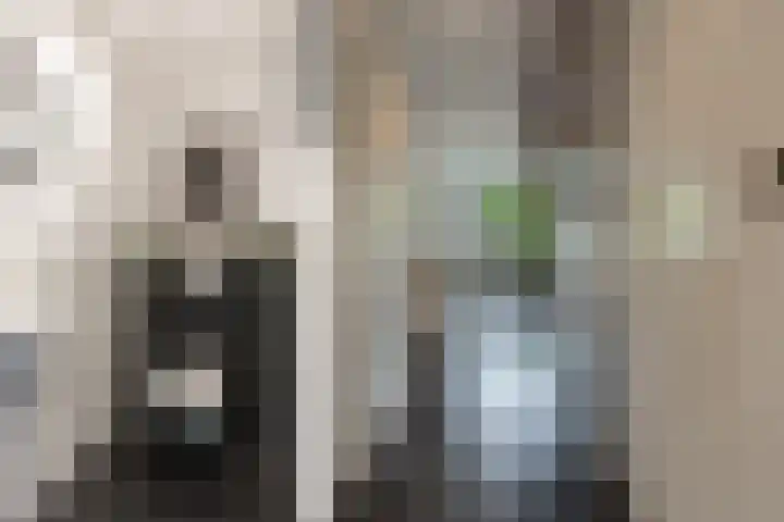 Zwaluwplein 14 Bergschenhoek thumbnail 7