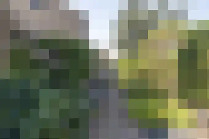 Zwaluwplein 16 Bergschenhoek thumbnail 21