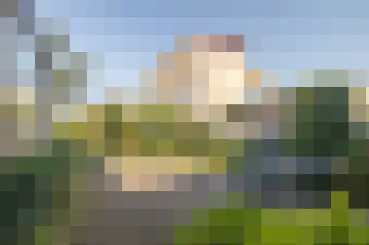Zwaluwplein 16 Bergschenhoek thumbnail 9
