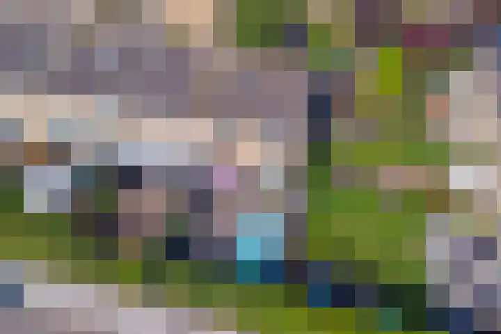 Zwaluwplein 5 Boskoop thumbnail 37