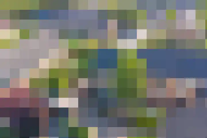 Zwaluwplein 5 Boskoop thumbnail 38