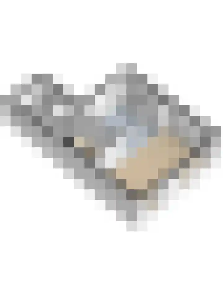 Zwaluwplein 5 Boskoop thumbnail 46