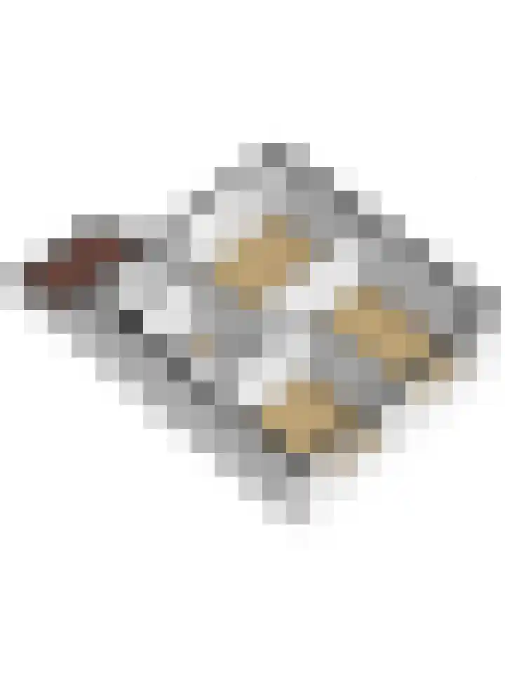 Zwaluwplein 5 Boskoop thumbnail 47