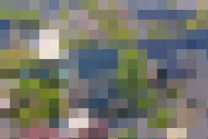 Zwaluwplein 5 Boskoop thumbnail 7