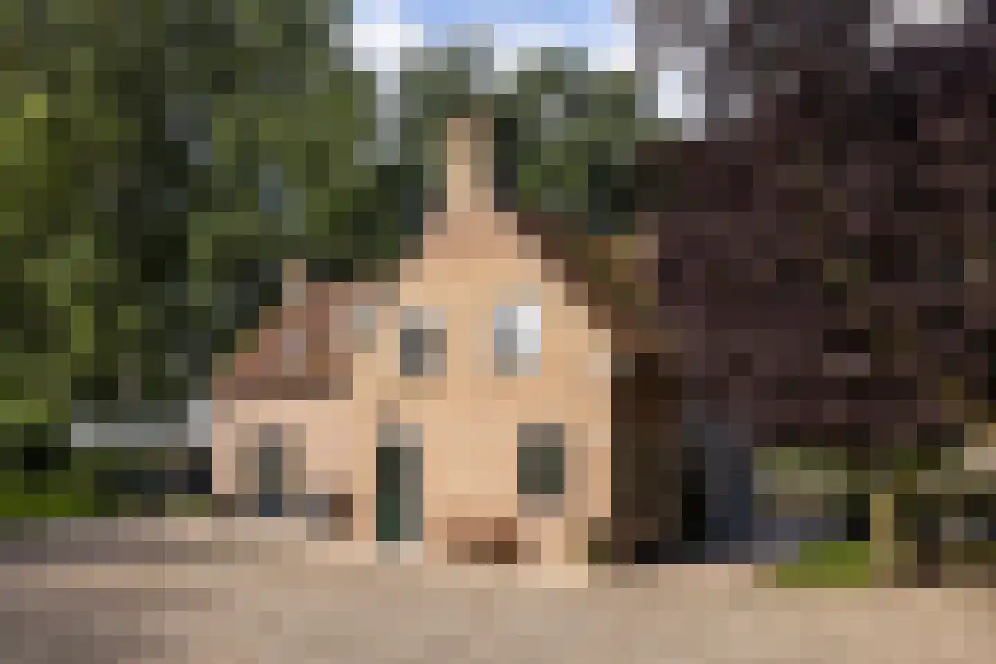 Zwaluwsedijk 5 in Lage Zwaluwe