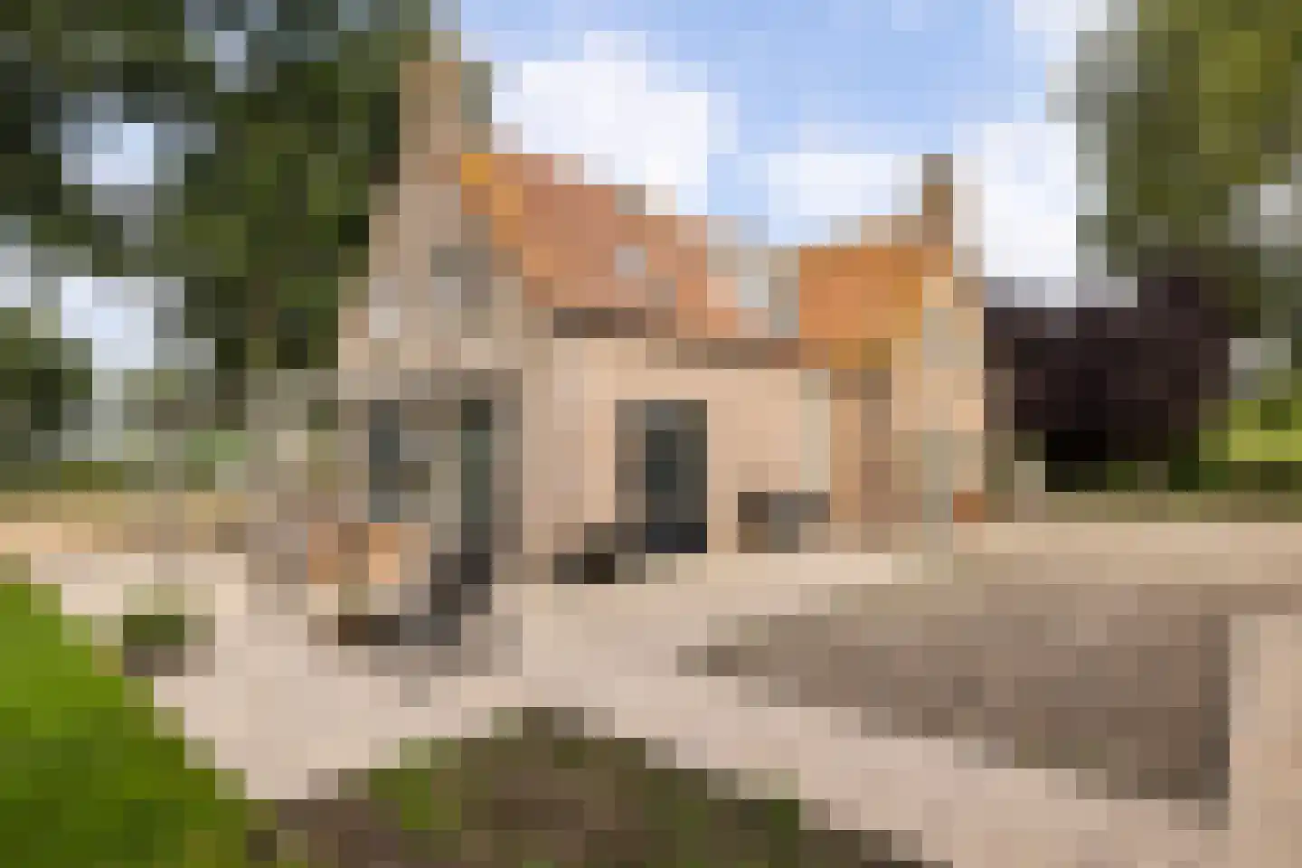 Zwaluwsedijk 5 Lage Zwaluwe thumbnail 13