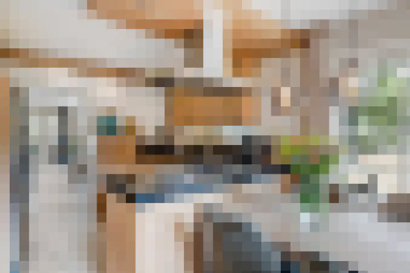 Zwaluwsedijk 5 Lage Zwaluwe thumbnail 15