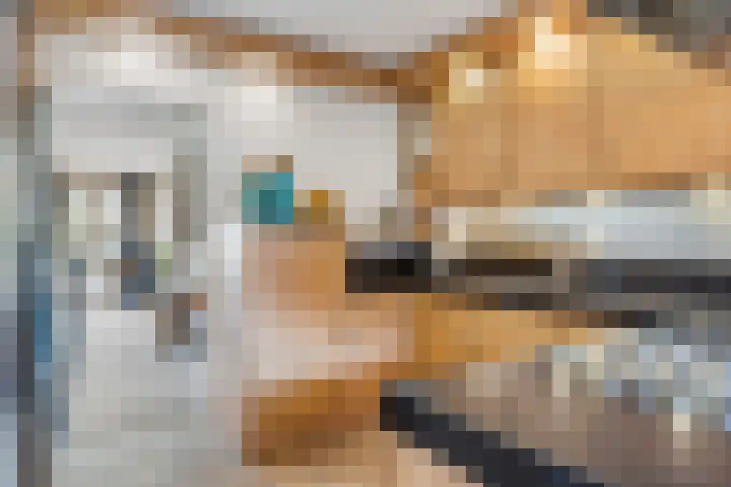 Zwaluwsedijk 5 Lage Zwaluwe thumbnail 16
