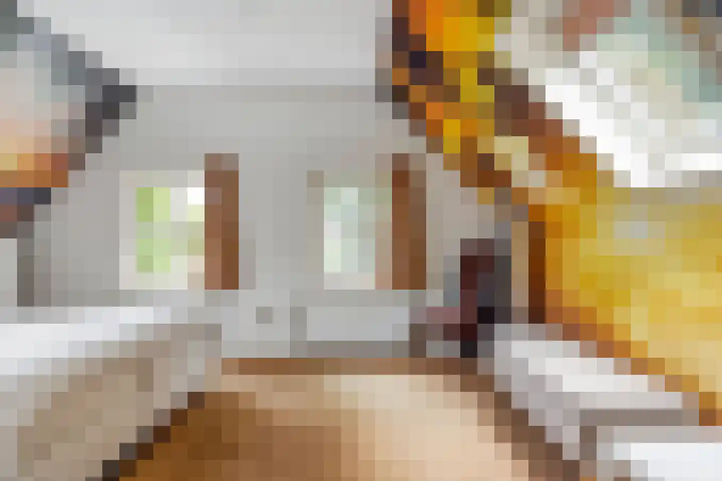 Zwaluwsedijk 5 Lage Zwaluwe thumbnail 17