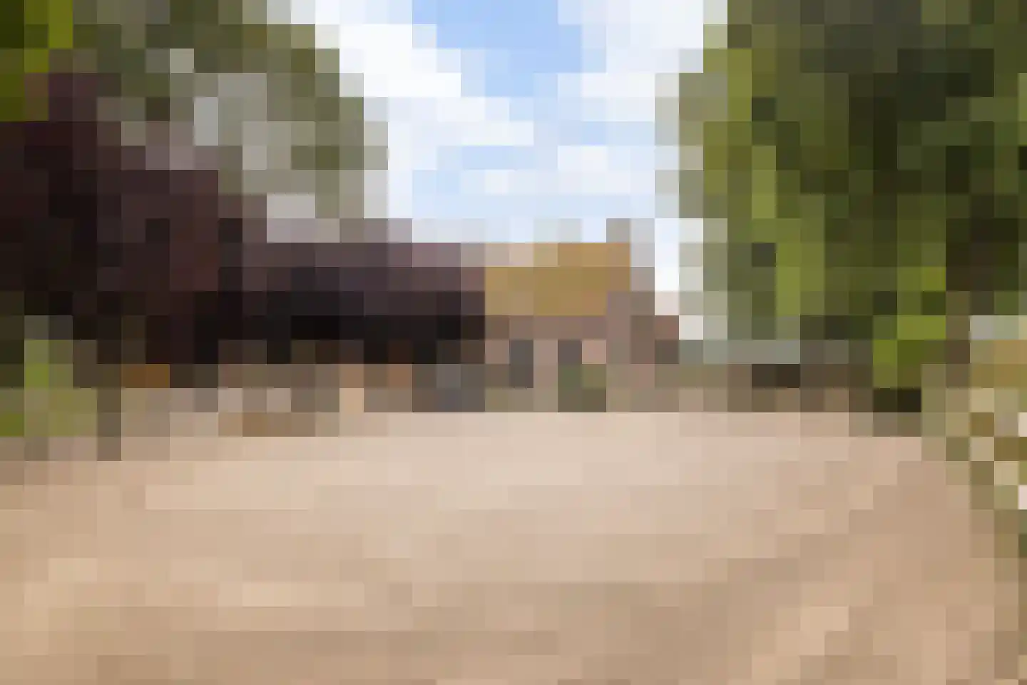 Zwaluwsedijk 5 Lage Zwaluwe thumbnail 23