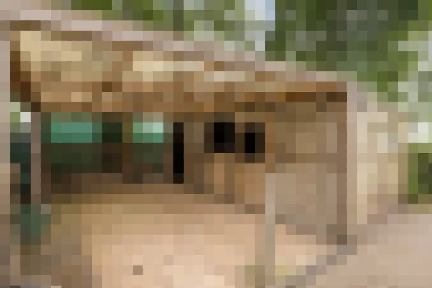 Zwaluwsedijk 5 Lage Zwaluwe thumbnail 24