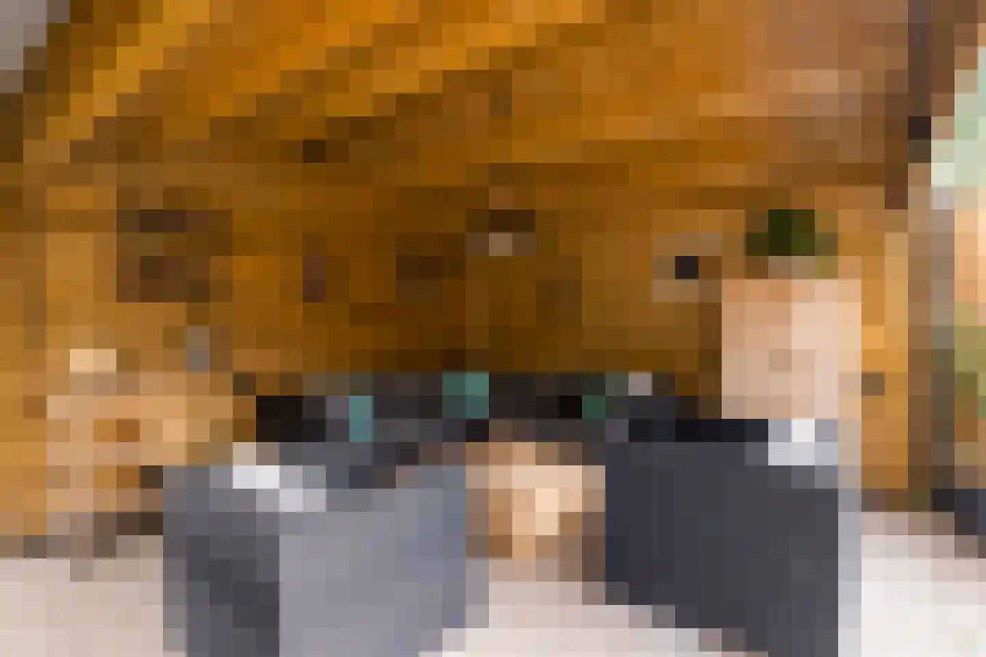 Zwaluwsedijk 5 Lage Zwaluwe thumbnail 26