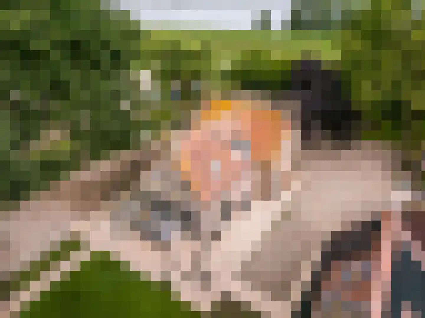 Zwaluwsedijk 5 Lage Zwaluwe thumbnail 29