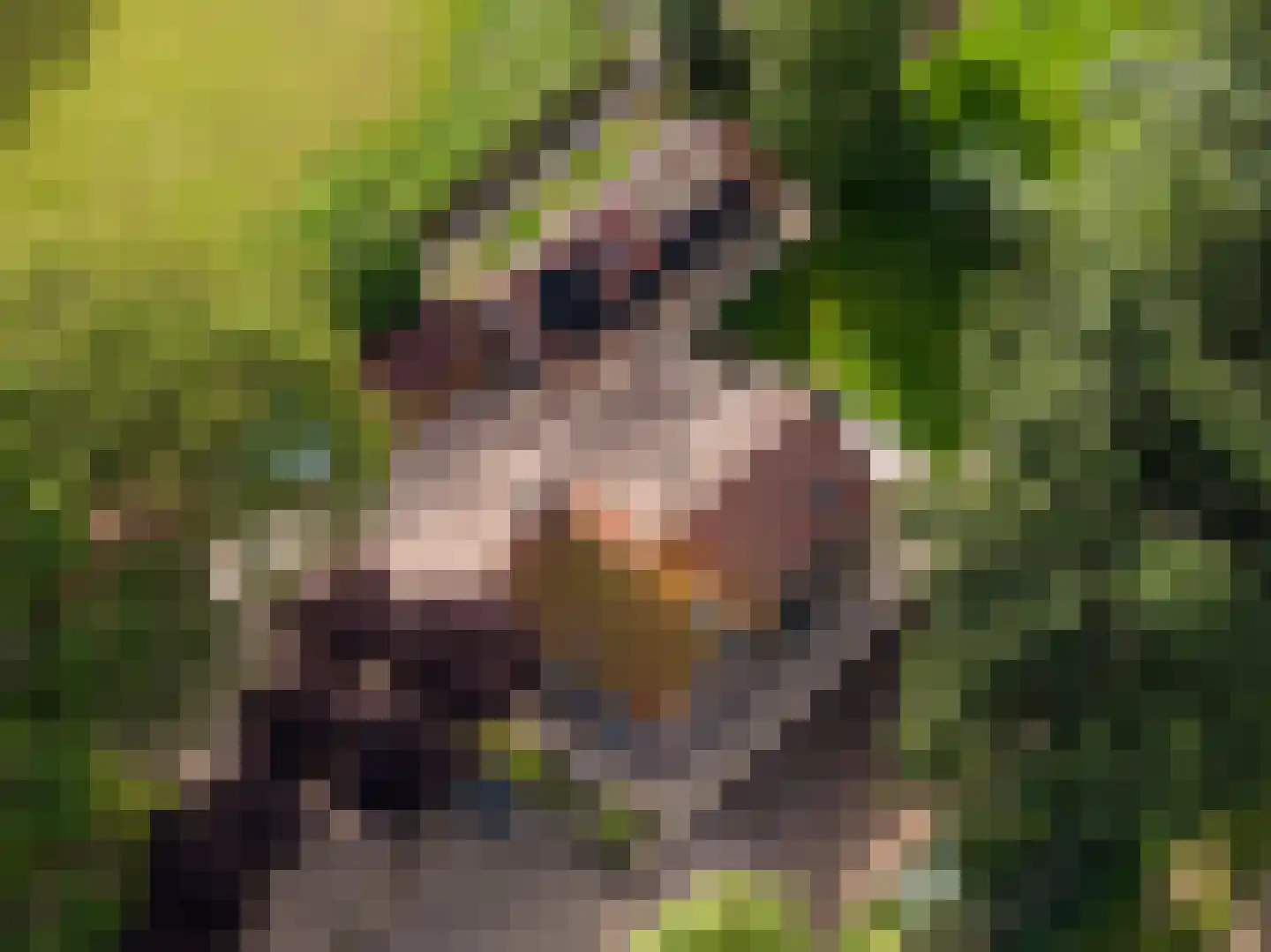 Zwaluwsedijk 5 Lage Zwaluwe foto 3