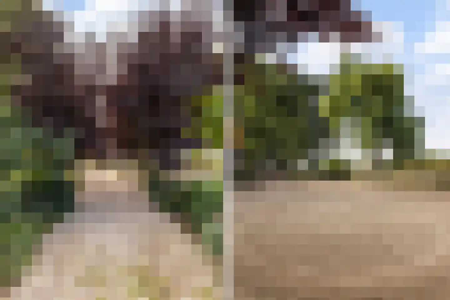 Zwaluwsedijk 5 Lage Zwaluwe thumbnail 31