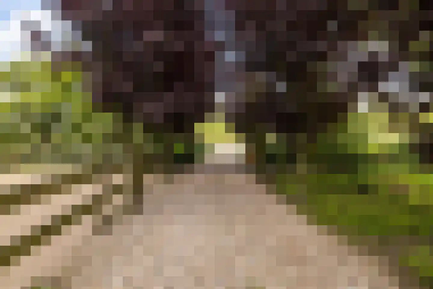 Zwaluwsedijk 5 Lage Zwaluwe thumbnail 32