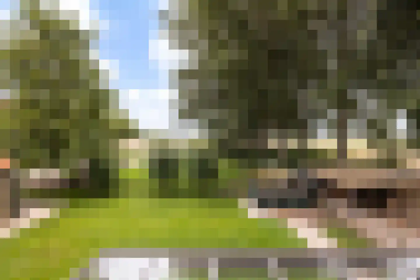Zwaluwsedijk 5 Lage Zwaluwe thumbnail 33