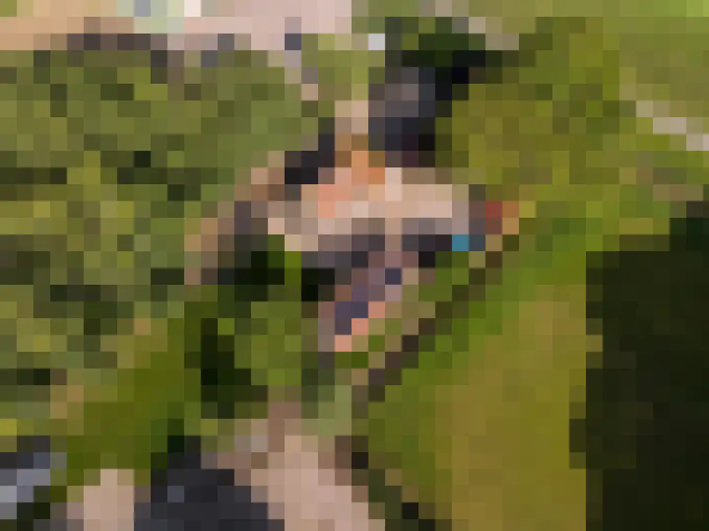 Zwaluwsedijk 5 Lage Zwaluwe thumbnail 35