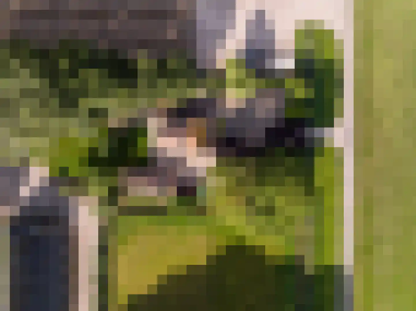 Zwaluwsedijk 5 Lage Zwaluwe thumbnail 36