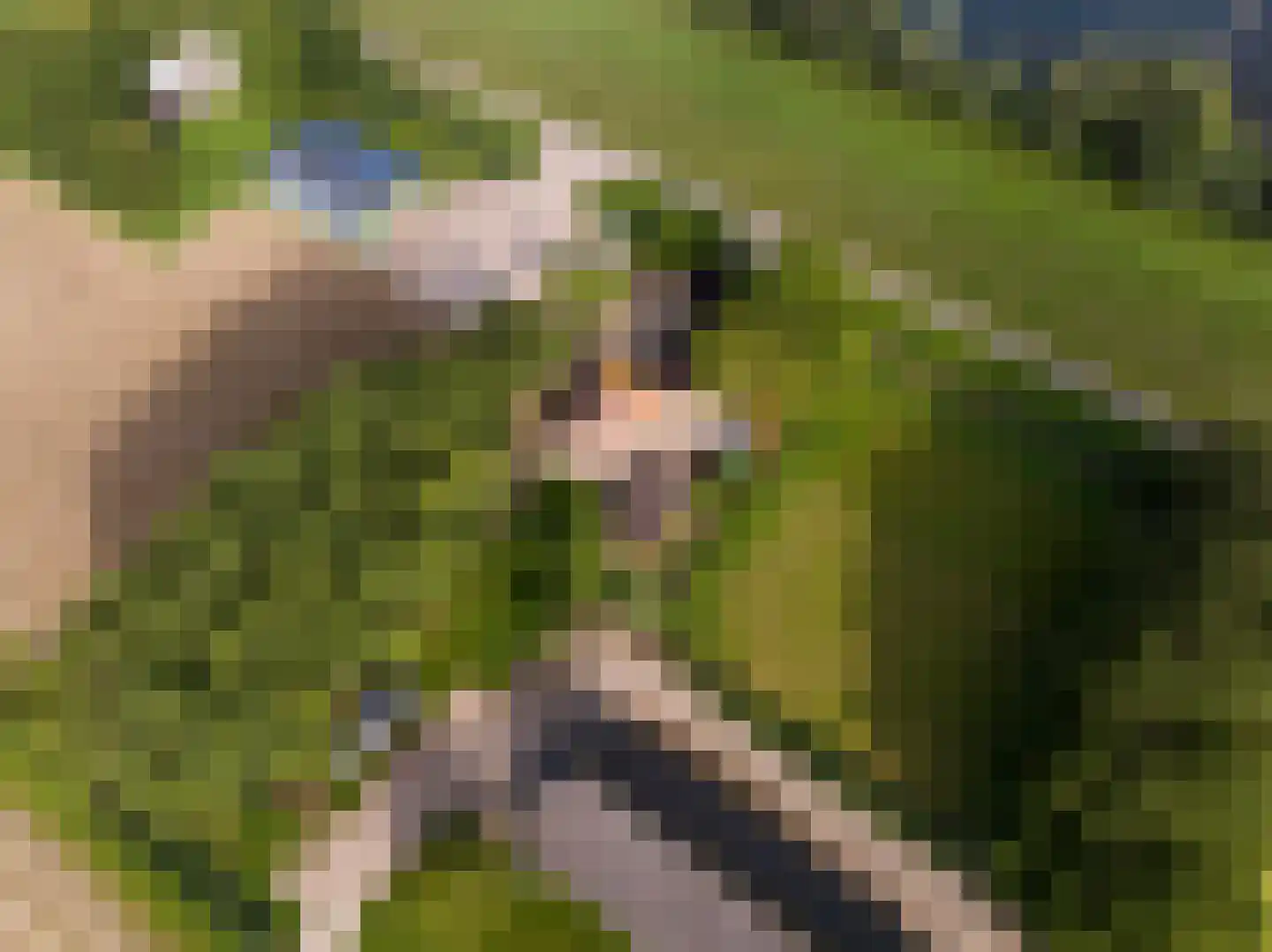 Zwaluwsedijk 5 Lage Zwaluwe thumbnail 37