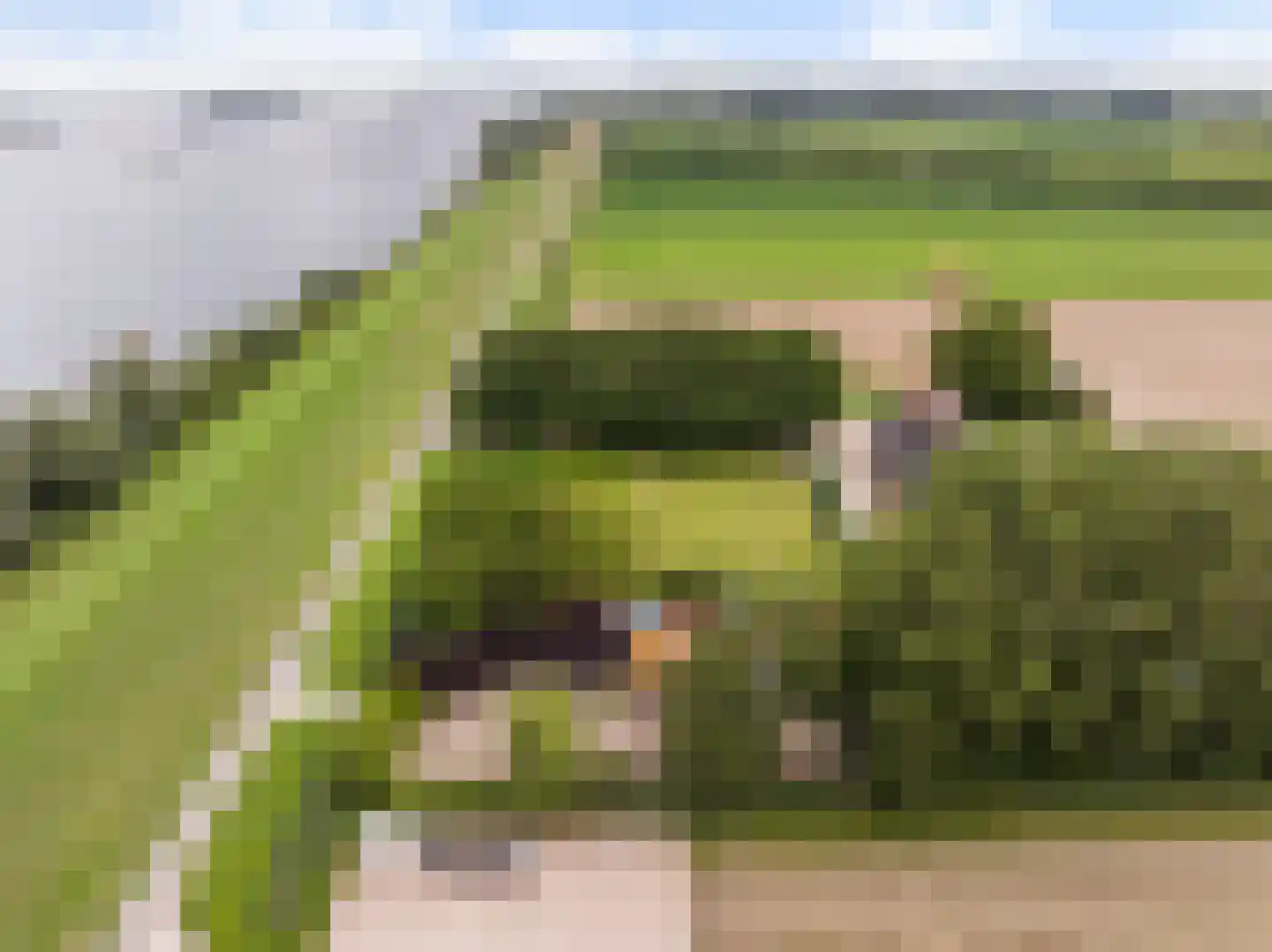 Zwaluwsedijk 5 Lage Zwaluwe thumbnail 38