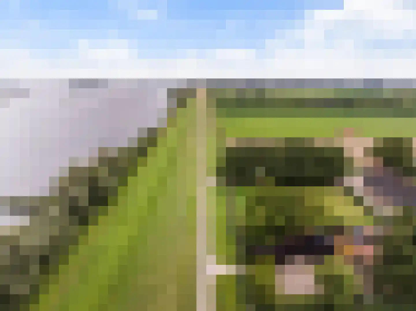 Zwaluwsedijk 5 Lage Zwaluwe thumbnail 39
