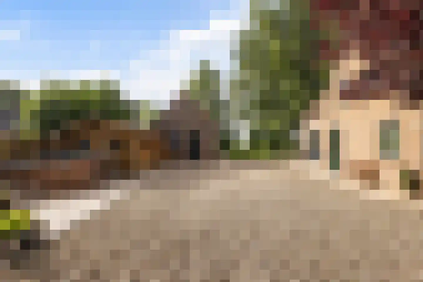 Zwaluwsedijk 5 Lage Zwaluwe thumbnail 4
