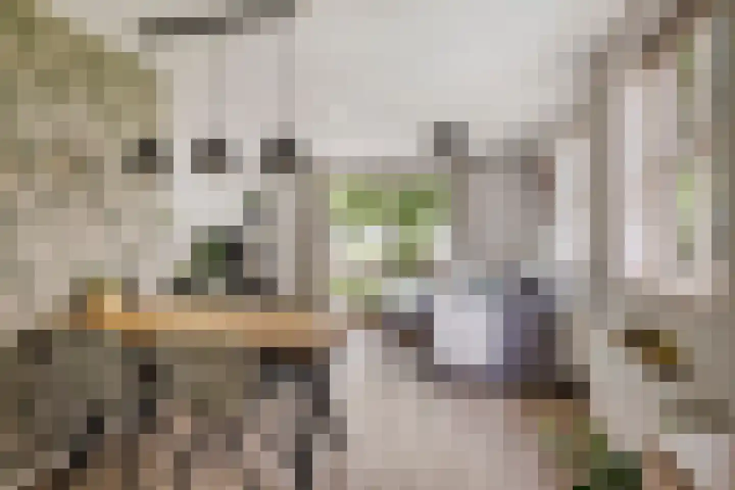 Zwaluwsedijk 5 Lage Zwaluwe thumbnail 43