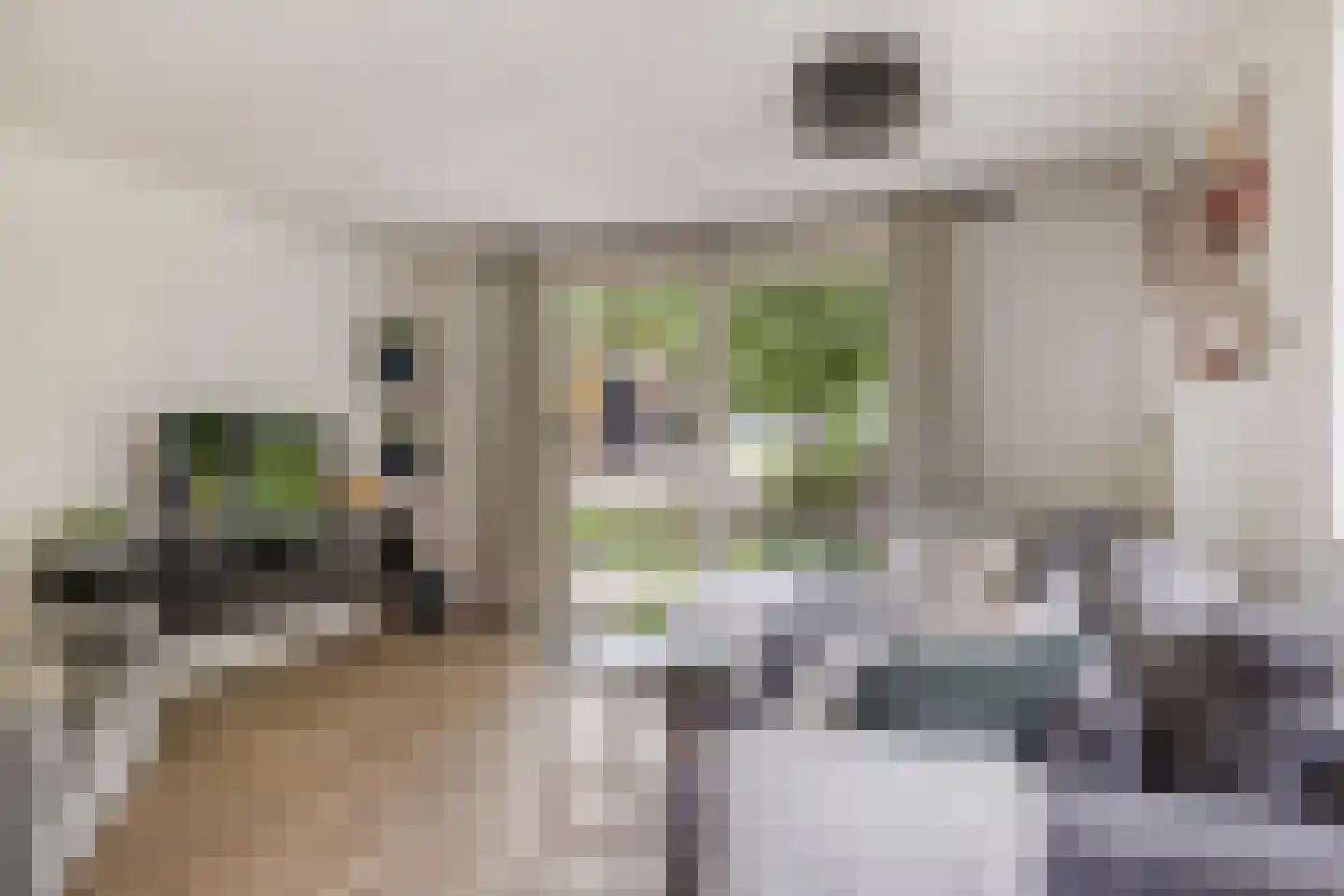 Zwaluwsedijk 5 Lage Zwaluwe thumbnail 44