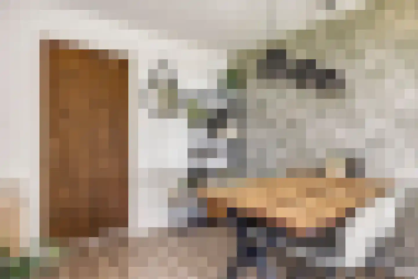 Zwaluwsedijk 5 Lage Zwaluwe thumbnail 46