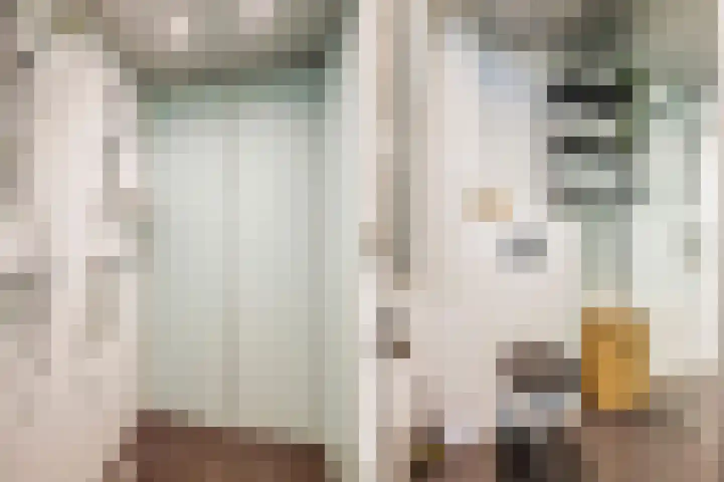 Zwaluwsedijk 5 Lage Zwaluwe thumbnail 47