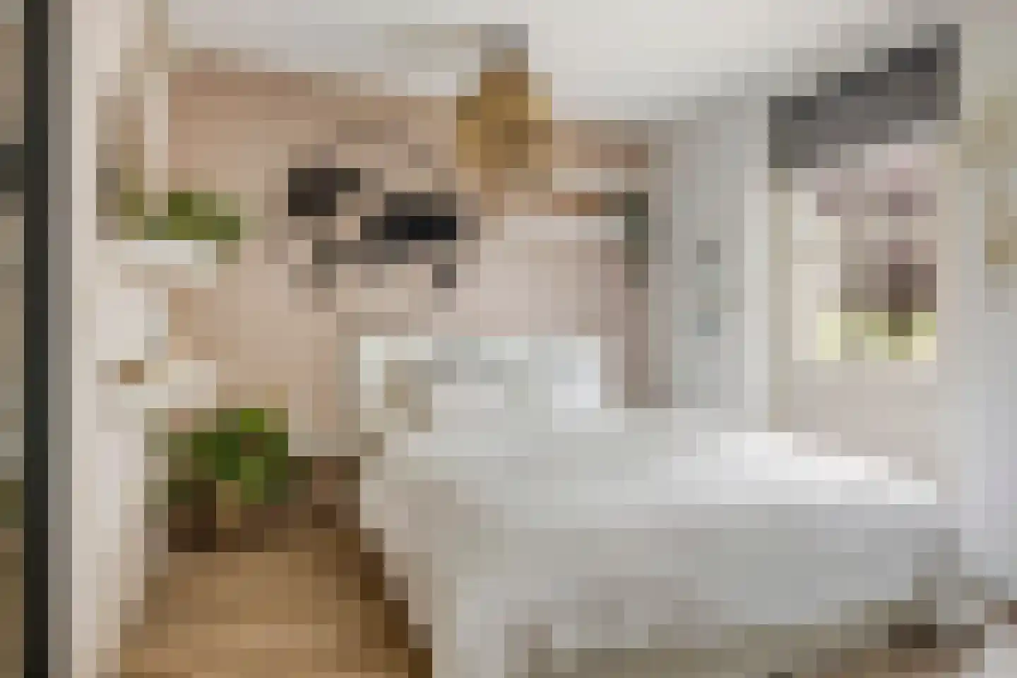 Zwaluwsedijk 5 Lage Zwaluwe thumbnail 49