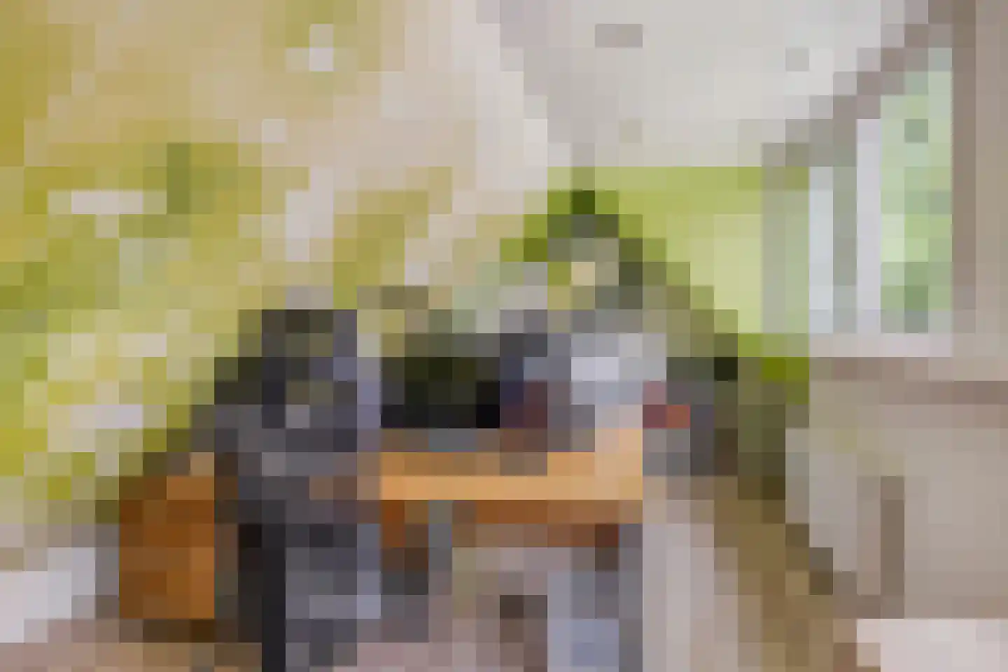 Zwaluwsedijk 5 Lage Zwaluwe thumbnail 51