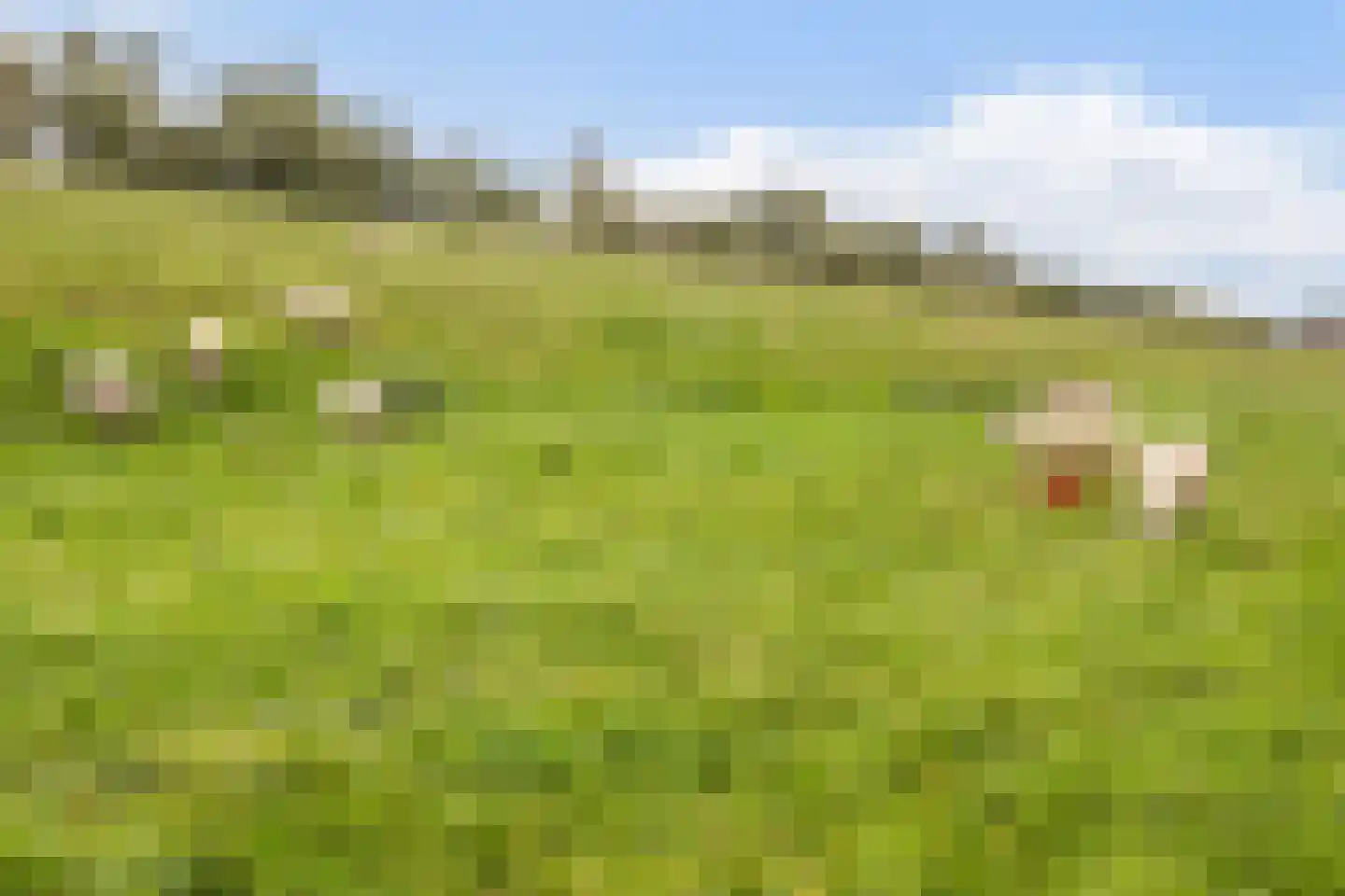 Zwaluwsedijk 5 Lage Zwaluwe thumbnail 53