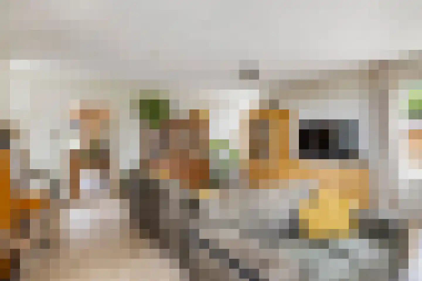Zwaluwsedijk 5 Lage Zwaluwe thumbnail 6