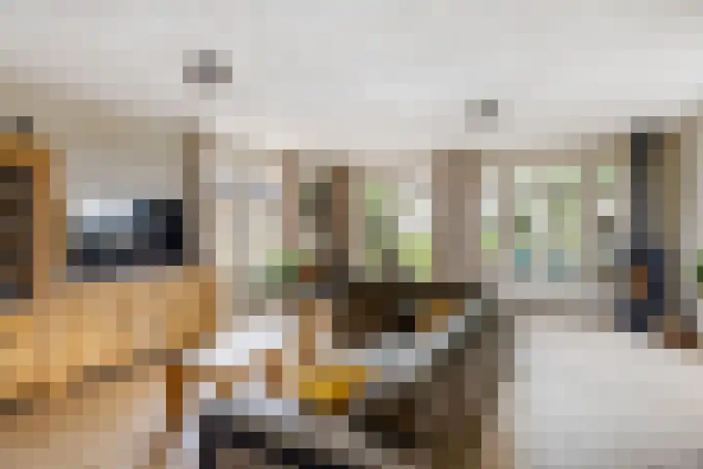 Zwaluwsedijk 5 Lage Zwaluwe thumbnail 7