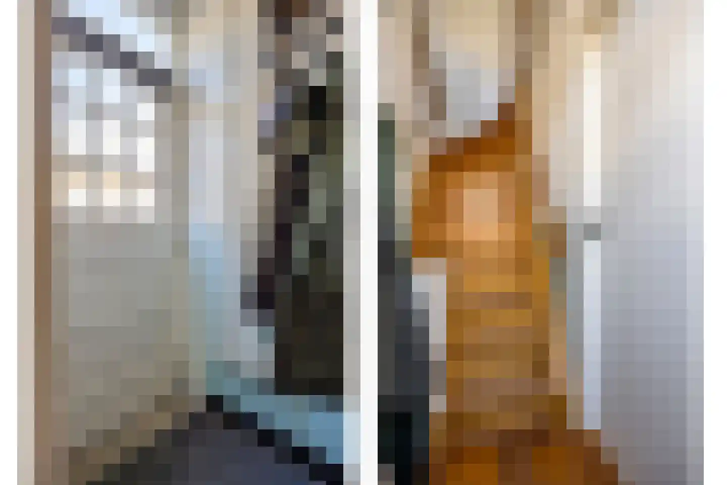 Zwaluwseweg 2 Hooge Zwaluwe thumbnail 14