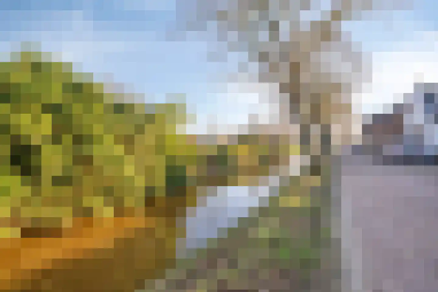 Zwaluwseweg 2 Hooge Zwaluwe thumbnail 24