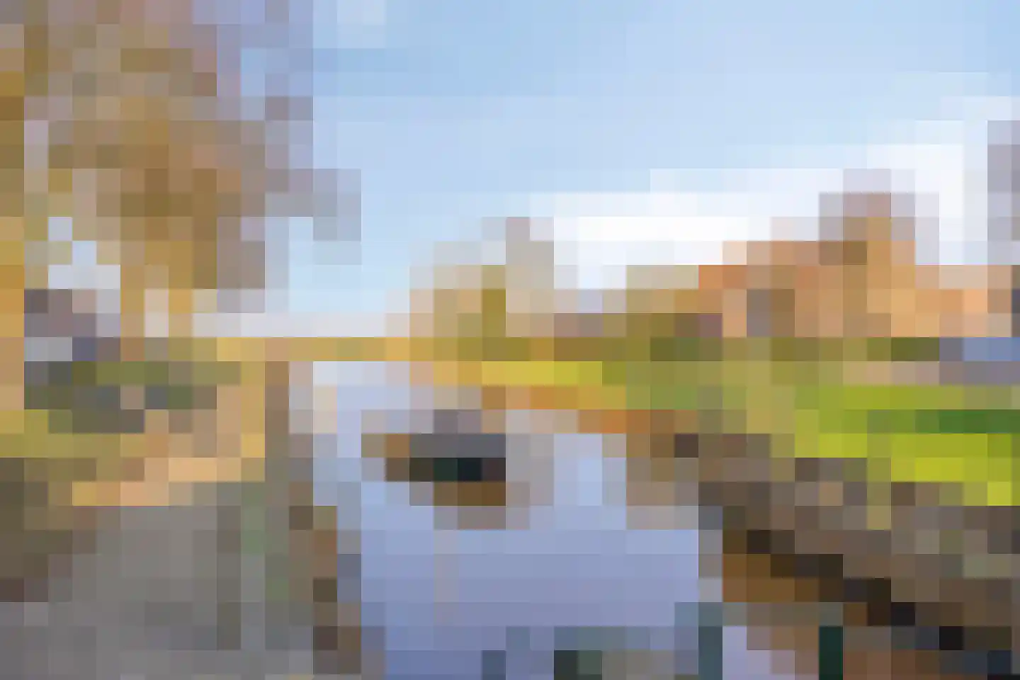 Zwaluwseweg 2 Hooge Zwaluwe thumbnail 26