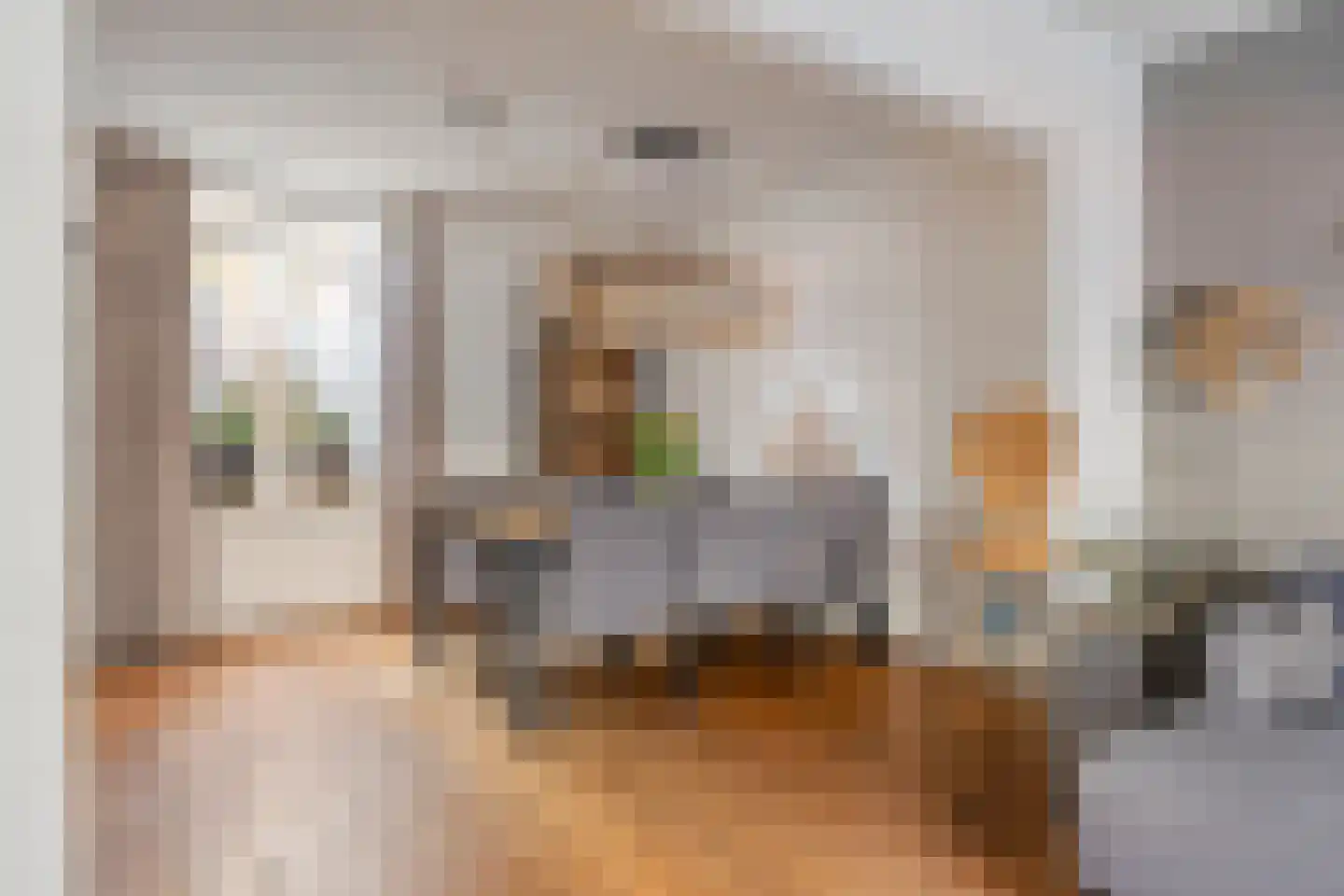 Zwaluwseweg 2 Hooge Zwaluwe thumbnail 9