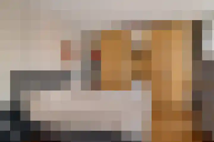 Zwaluwsingel 158 Den Haag thumbnail 32