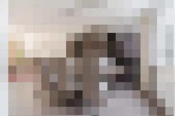 Zwaluwstaartweg 33 Eindhoven thumbnail 10