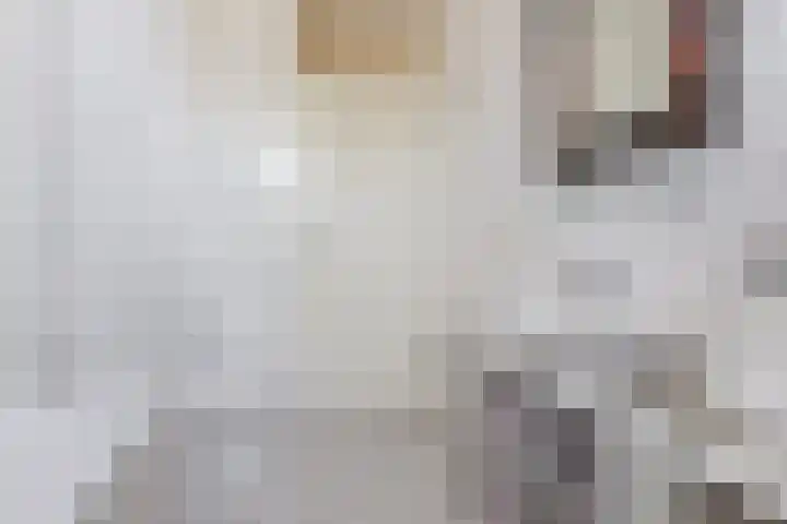 Zwaluwstaartweg 33 Eindhoven thumbnail 22