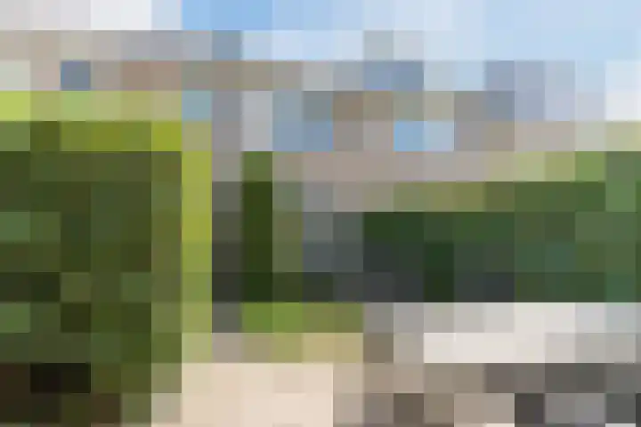 Zwaluwstaartweg 33 Eindhoven thumbnail 30