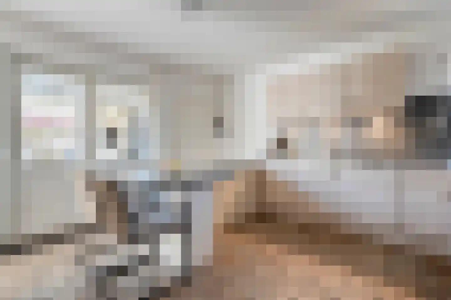 Zwaluwstraat 1 de Lutte thumbnail 10